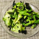 サラダ菜の韓国風サラダ